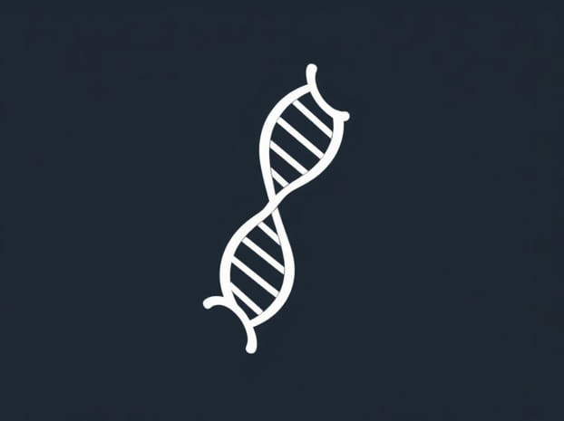 Dna And Rna Difference Between
