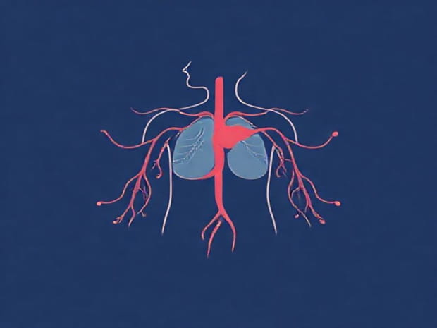 Does The Circulatory System Maintain Homeostasis