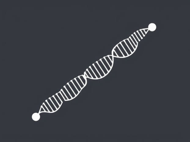 During Elongation How Many Trna Molecules