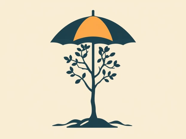 Dwarf Umbrella Tree Propagation