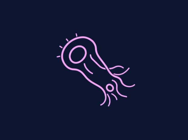 E Coli Flagella Type