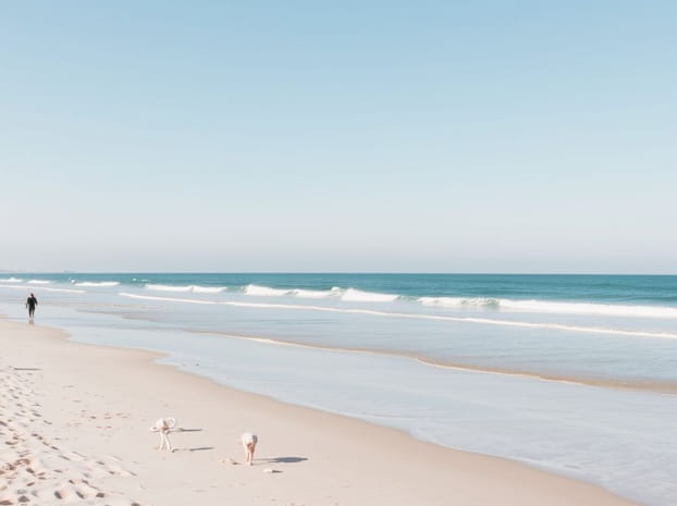 Eastney Naturist Beach Reviews