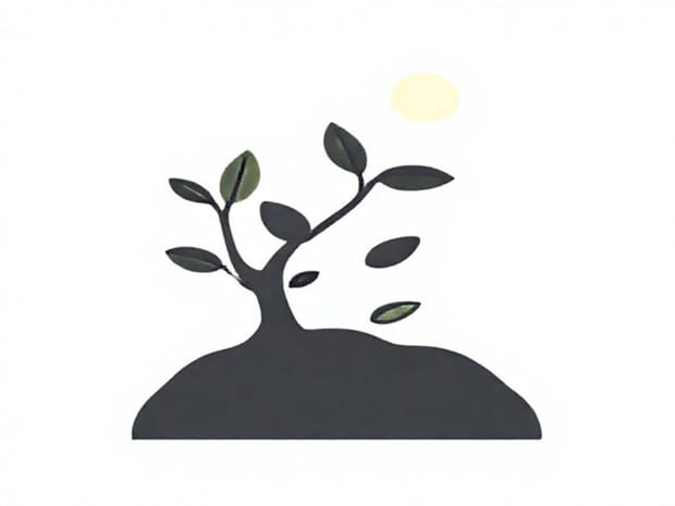 Explain The Significance Of Photosynthesis