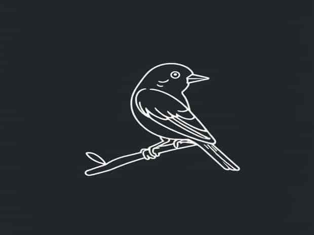 Finch Aviary For Sale
