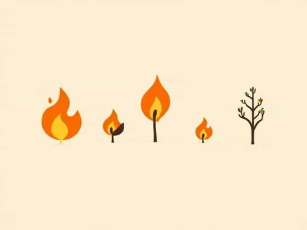 Five Human Causes Of Veld Fires