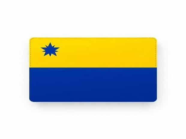 Flag With Blue And Yellow