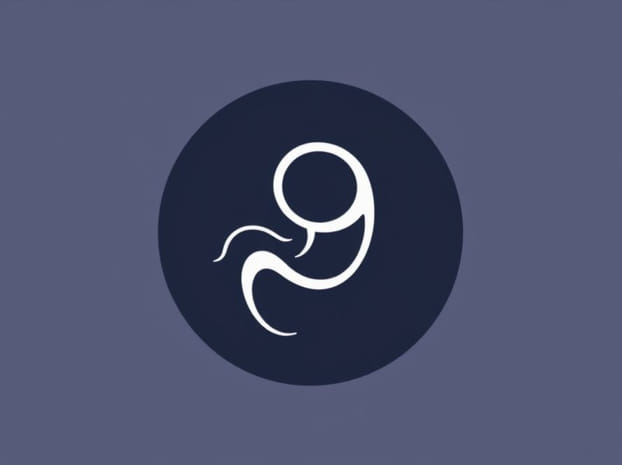 From Zygote To Embryo