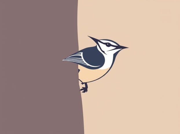 How Big Is A Nuthatch