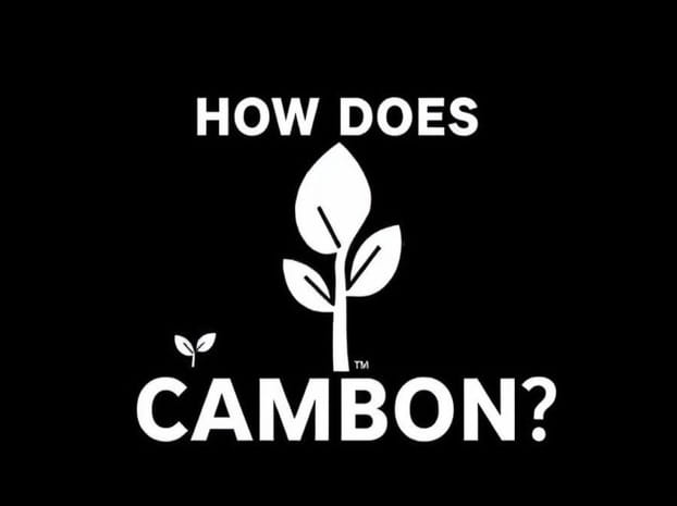 How Does Biochar Sequester Carbon?