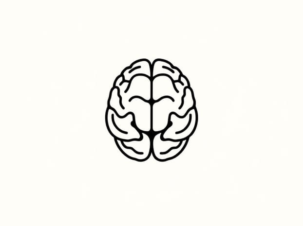 How Does Your Frontal Lobe Develop