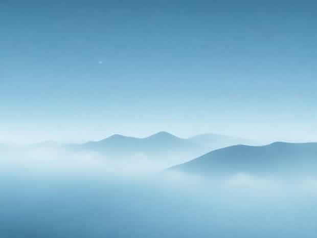 How Much Is Mist Alba