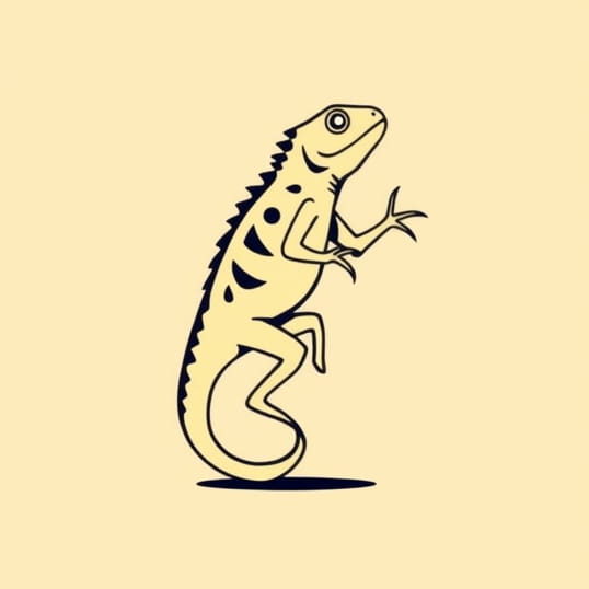 How To Dance La Iguana