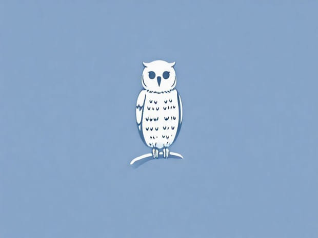 How To Draw A Snowy Owl