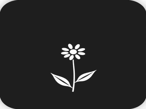 How To Use Jimsonweed