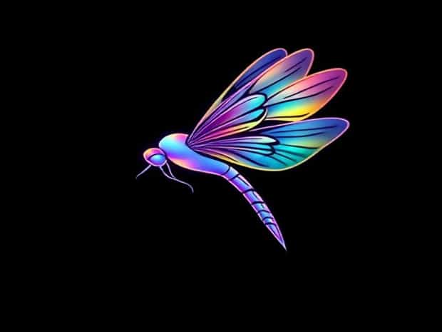 Iridescent Sprite Darter Wing
