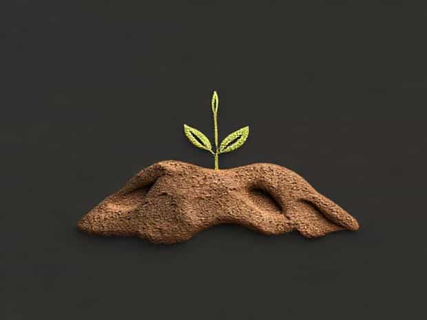 Is Clayey Soil Acidic
