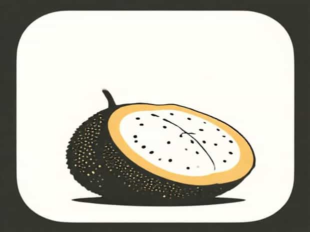 Is Jackfruit A Climacteric Fruit