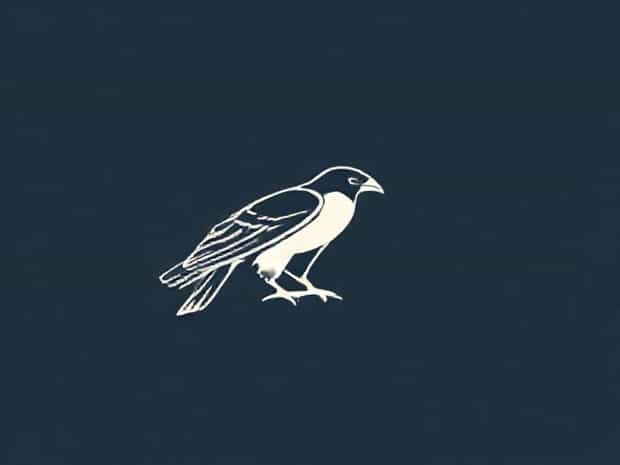 It Is A Bird Of Prey
