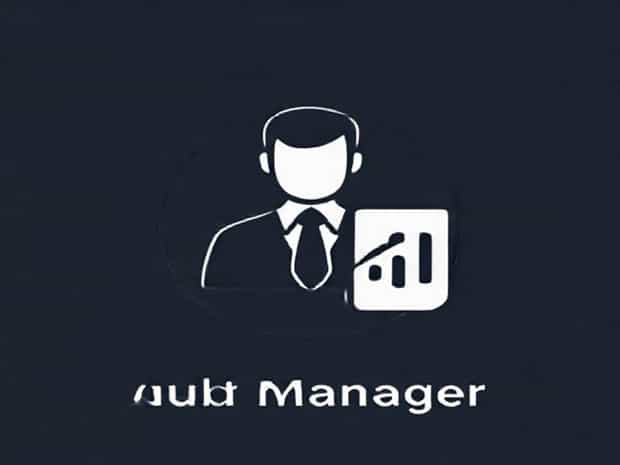 Job Description Of Audit Manager