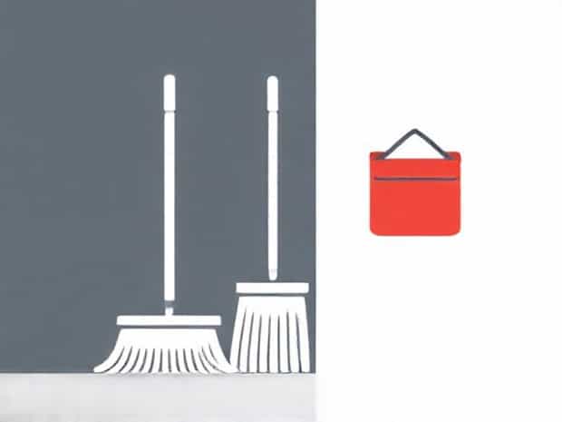 Lobby Broom And Dustpan