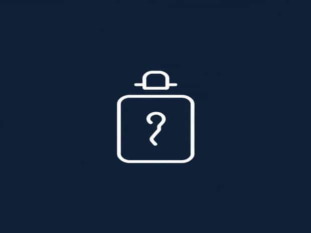 Chastiser Meaning In Hindi