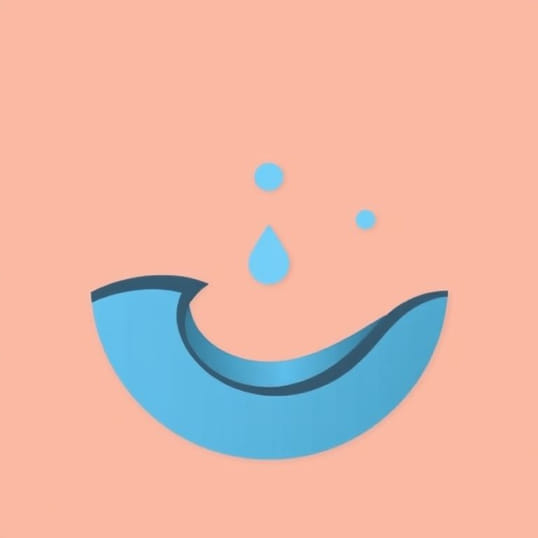 Cohesion And Adhesion Of Water