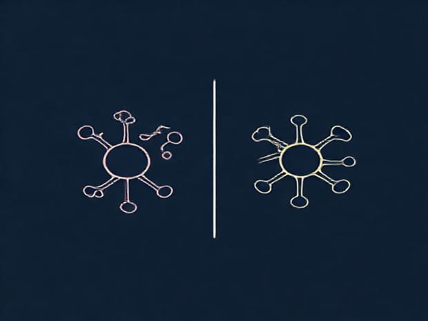 Difference Between Excitatory And Inhibitory