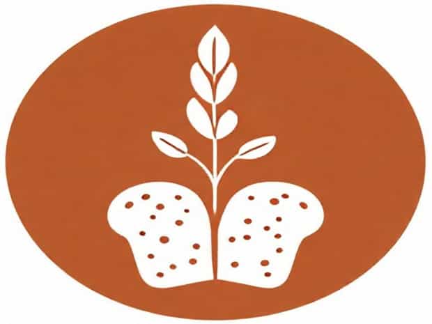 Difference Wholemeal And Wholewheat