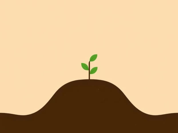 Does Compaction Affect Soil Quality