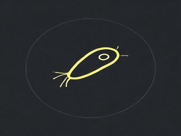 Does Yeast Have Flagella?