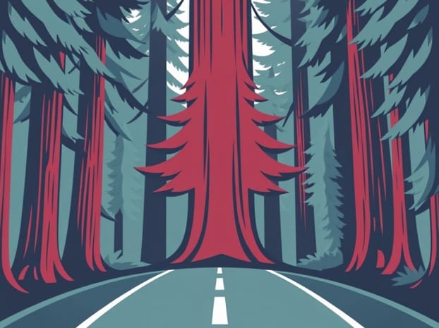 Drive Through Redwood Tree