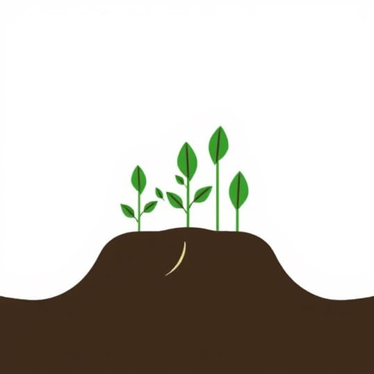 Explain The Concept Of Carbon Sequestration
