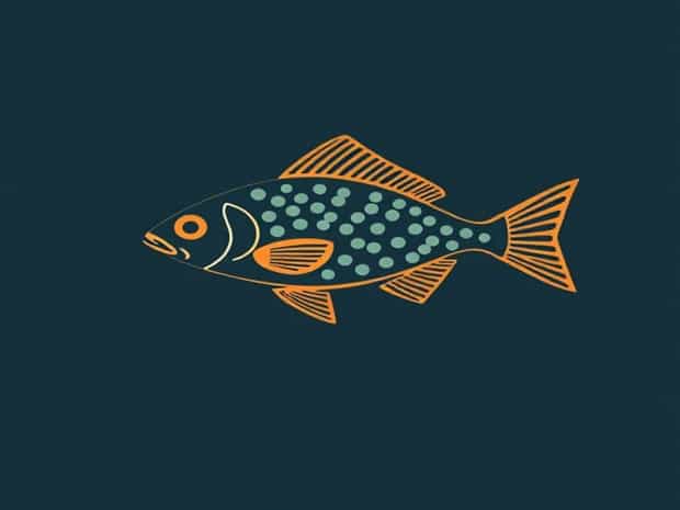 Fish That Eat Diatom Algae