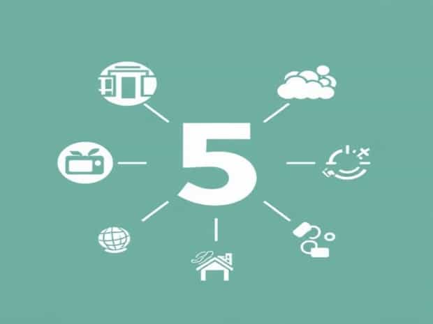 Five Importance Of Turgidity