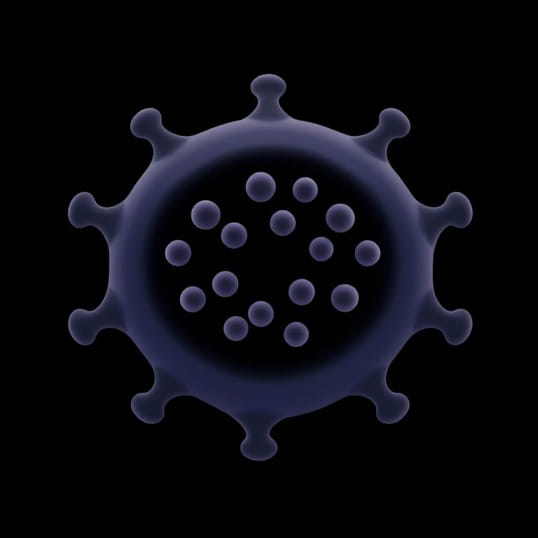 Function Of Cuboidal Epithelium