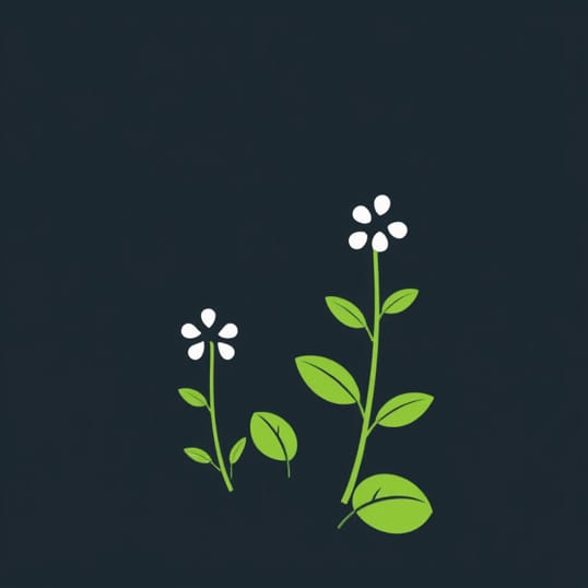 Function Of Phosphorus In Plants