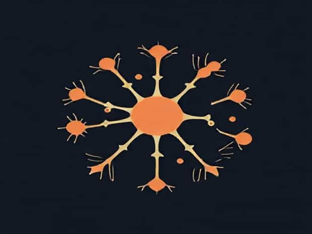 How Are Microscopic Structures Different From Macroscopic Structures