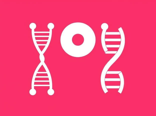 How Are Puc18 And Pbr322 Used In Biotechnological Studies