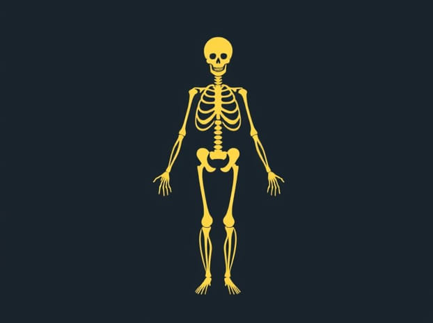 How Much Do Anatomist Earn In Nigeria