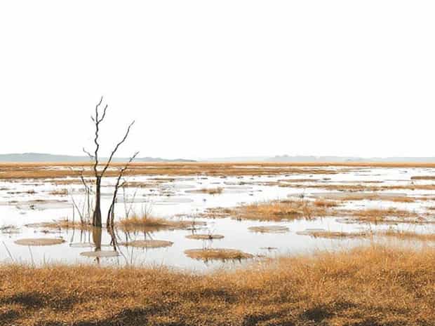 How Much Does A Wetland Delineation Cost