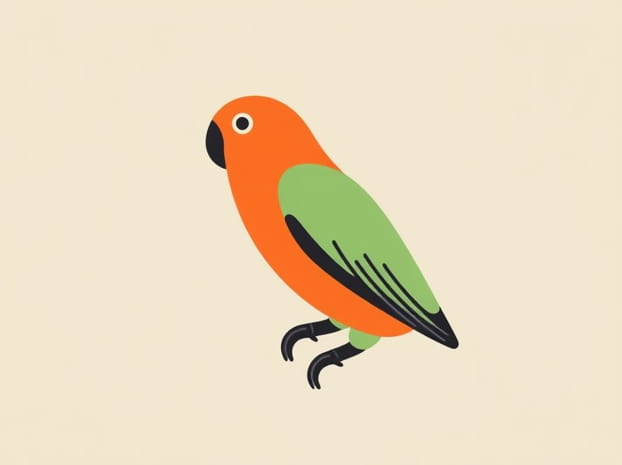How Much Is A Quaker Parrot