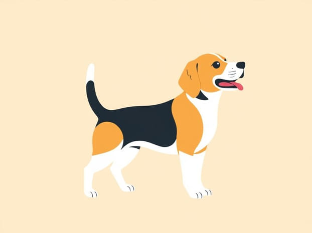 How Much Is Beagle 401K