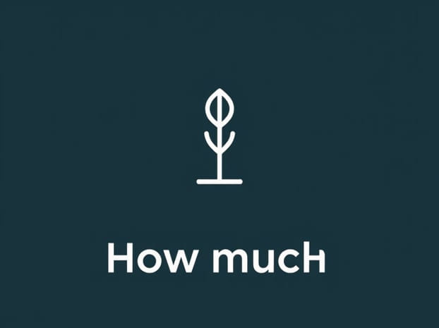 How Much Is Bespoke Post