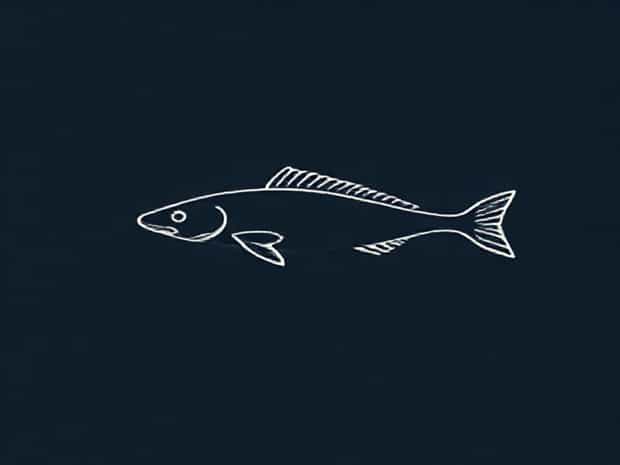How To Fish For Eel