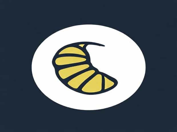 Is A Chrysalis A Cocoon