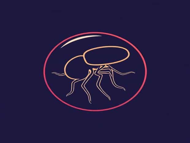 Is Rubella A Zoonotic Disease