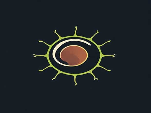 It Provides Turgidity To The Plant Cell