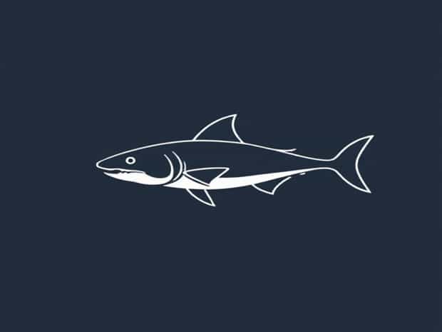 Jawless Cartilaginous And Bony Fish