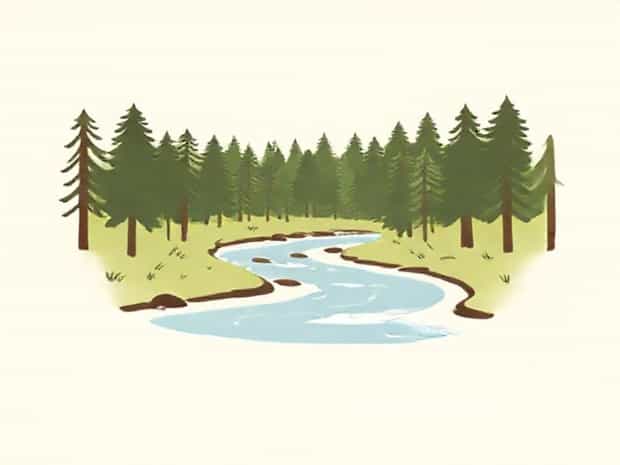 Johnson Creek Riparian Forest