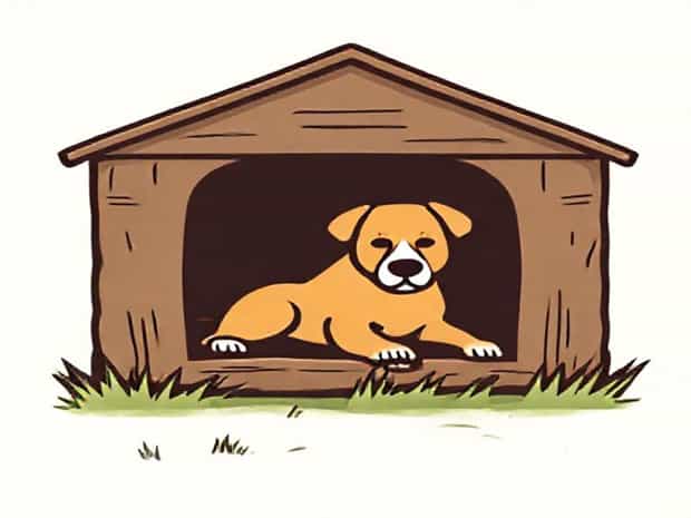 Kennel For Destructive Dog